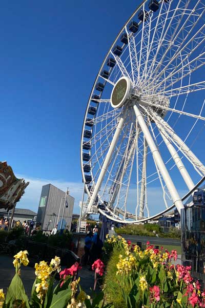 Navy Pier ferris wheel in Chicago