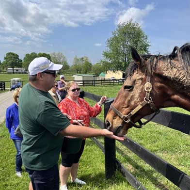 Derby guests visiting a Lexington Kentucky Horse Farm