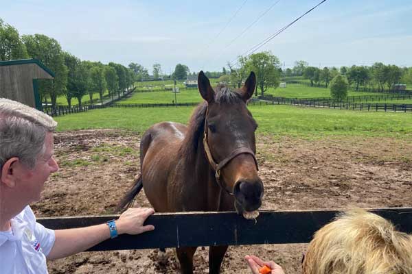 Guests interacting with horse on Derby Horse Farm Tour