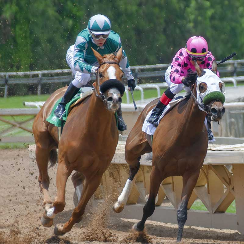 Horses racing at Churchill Downs