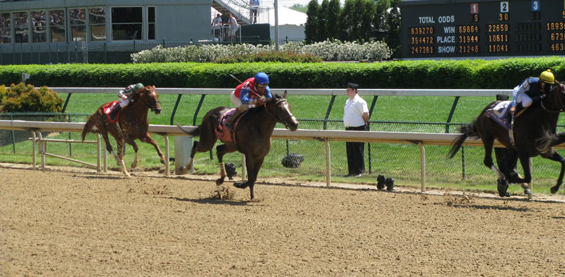 Horses racing at Churchill Downs during the Kentucky Derby