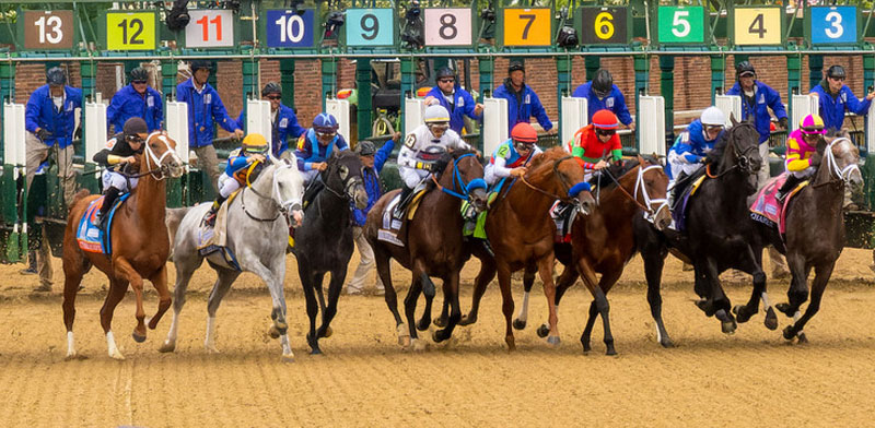 The starting block of the Kentucky Derby horse race