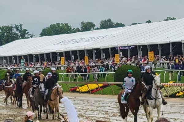 Horses on the track at The Preakness
