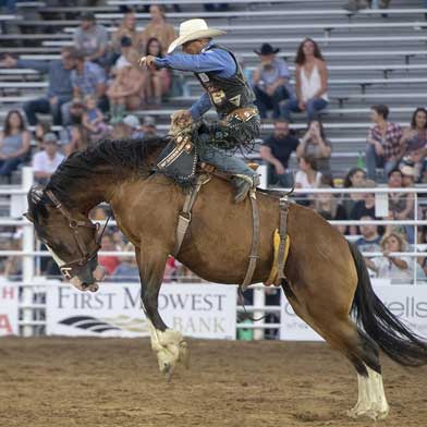 Rodeo