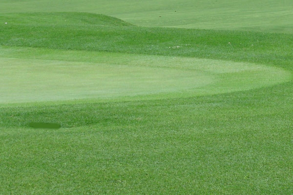The Players Championship The Players Championship