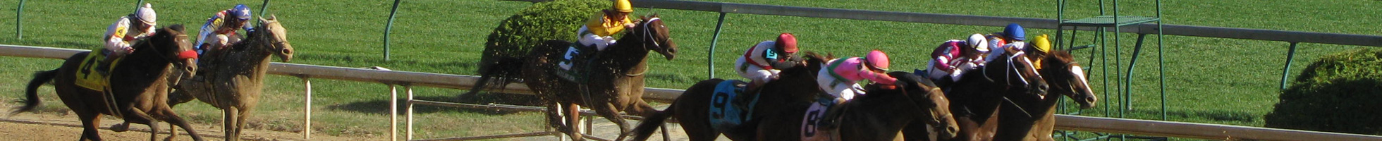 The Preakness