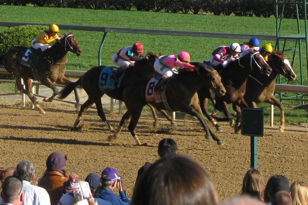 The Preakness