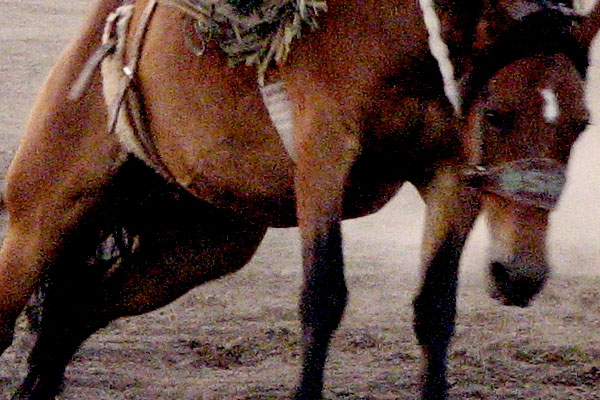 National Finals Rodeo