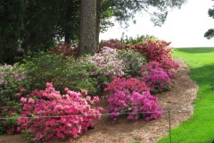 Masters Augusta National