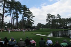 Patrons Watching the Masters Golf Tournament