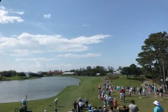 16th Fairway at TPC Sawgrass during the Players Championship Tournament