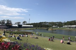 Famous 17th Hole at TPC Sawgrass during the Players Championship