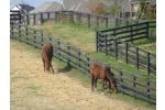 3 night Embassy Suites Lexington - Derby & Tour