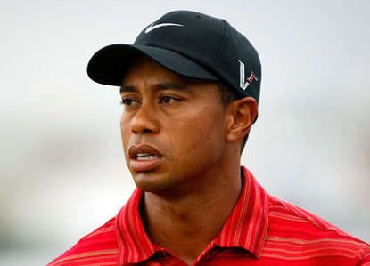 tigerstare