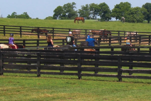 Horse Back Riding at Kentucky Horse Park