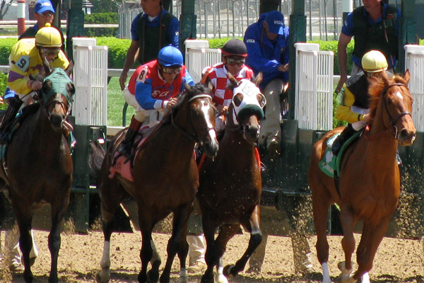 The start of a horse race at Churchill Downs
