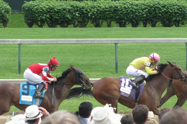 Live horse racing at Churchill Downs in Louisville Kentucky. 