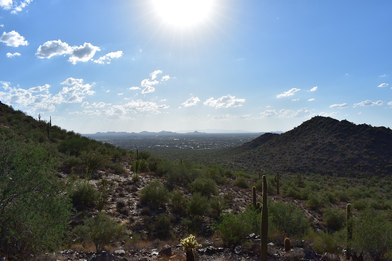 adamsinaz-desert-4882916_1280