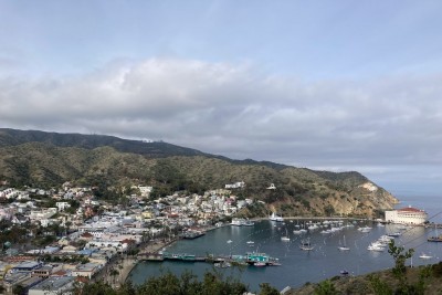 catalina