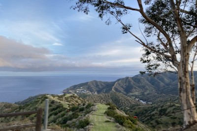catalina3